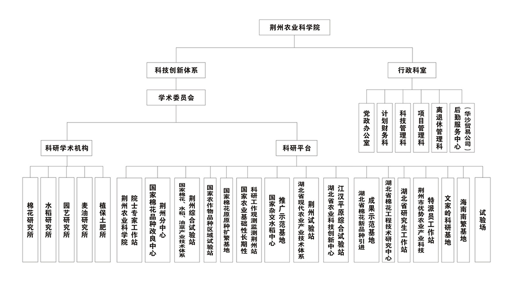 组织架构