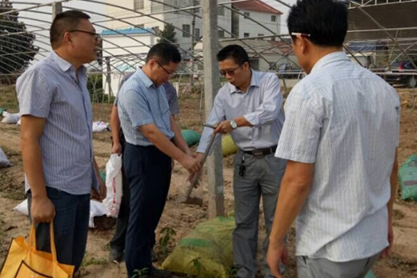 武汉市农科院蔬菜所副所长周国林一行来荆采集土样