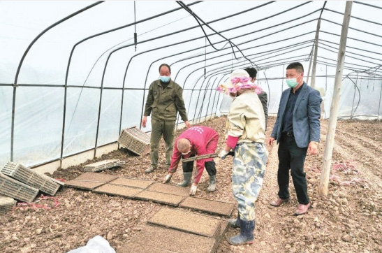 闹春耕 促生产--荆州农业科学院有序开展春季农业科技服务