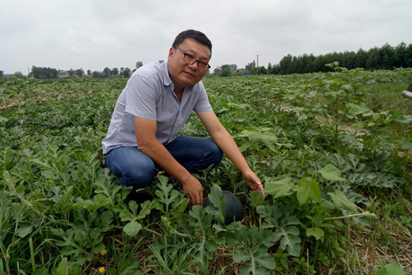 李平荣获全国科技助力精准扶贫先进个人