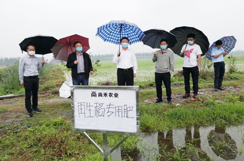 国家重点研发计划—粮食丰产三期项目首席夏贤格研究员到我市调研