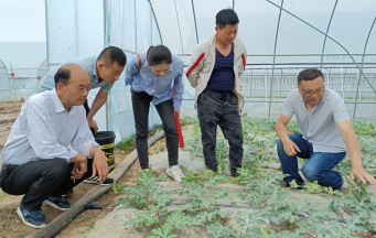 专家走基层，科技护航保丰收