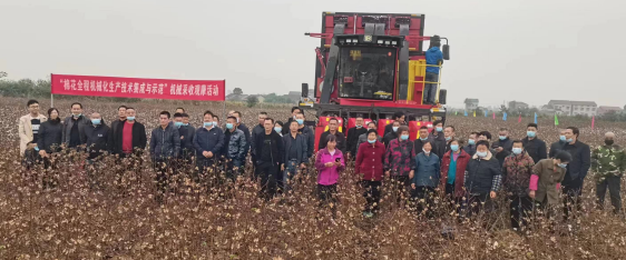 “机械采收技术”助力江汉平原棉花产业升级