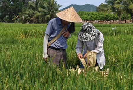 微信截图_20250402111514.png
