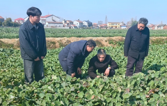 微信截图_20250403150448.png