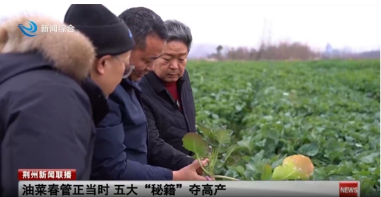 微信截图_20250403150553.png