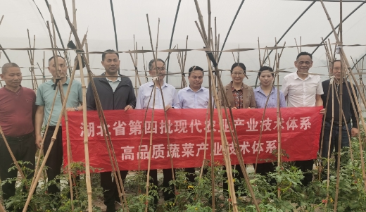 微信截图_20250418114138.png