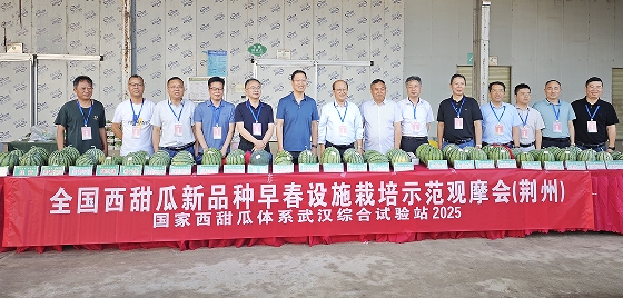 微信截图_20250519113405.png
