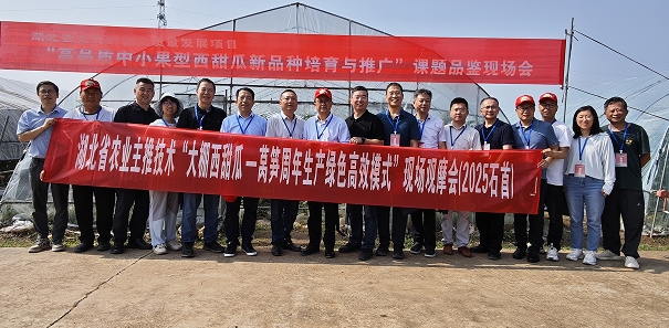 微信截图_20250519113526.png