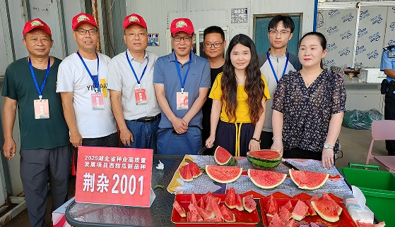 微信截图_20250519113606.png