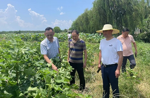 微信截图_20250801165935.png