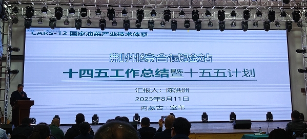 油优2.png